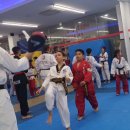 라온제나 성인태권도장 이미지