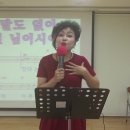 노금오 Daum카페