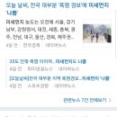 미세스지 이미지