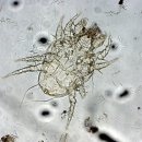 세종다온동물병원 이미지