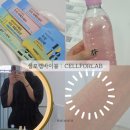 리본휘트니스 | 직접 경험한 대전셀포랩 바이블센터 – 요요없는 다이어트