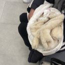 미사탑재활의학과의원 이미지