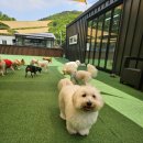 태담이네 하우스 이미지