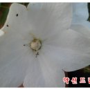 호복 농장 네이버블로그