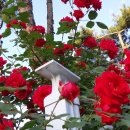 인천공촌초등학교 이미지