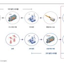 지에프엠앤씨