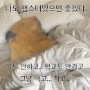 윤자푸드 | 20.9Lv 12월