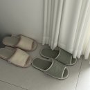 스테이 우브