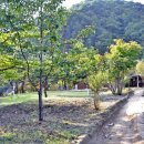 나들목산장 이미지