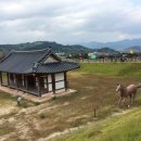 청도읍성 네이버블로그