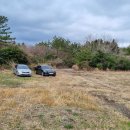 남조로수망교차로 3 이미지