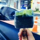 송호민박 이미지