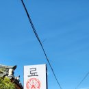 혼덮밥