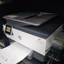 양지할인마트 이미지