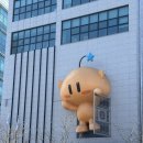 충무체육관 | 올 시즌은 샷따 내릴래.. (260207 대전 충무체육관 테이블석 후기)