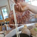 행정죽전로 이미지