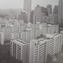 크로바체육관 이미지