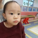 치과 정기검진/별내 또래모아 점핑
