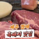고지집 | 협재 흑돼지 맛집 바당고지 내돈내산 후기
