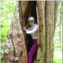 선녀계곡 이미지