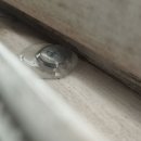 복대주은 이미지