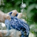 새옷만들기 이미지