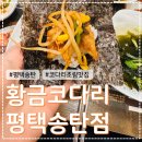 황금코다리송탄점 이미지