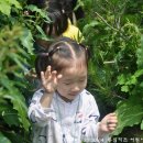 동심어린이집 이미지