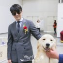 바둑아 사랑해 이미지