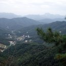 용미1리 Daum카페