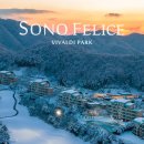 골프빌리지 A콘도 1층(남,여) | 홍천 ㅣ소노펠리체 비발디파크 빌리지 골드그랜드 J동 438호 취사 주차 이용후기