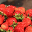 일산1리 이미지