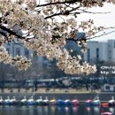 청솔로9 동촌점