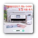G4981 이미지