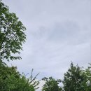 일명타운 펜션 이미지