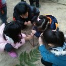 팔복어린이집 이미지