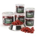 트레이닝타임 이미지