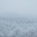 건강에 대한 고민 해결방법 이미지