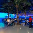 구미밤바다 이미지