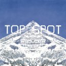 탑(TOP) 네이버블로그