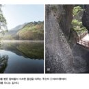 산록1 이미지