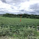 부발읍-02 이미지