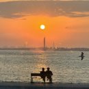 오이랜드 이미지