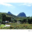 진안마이돈 이미지