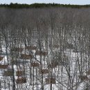 CW-0254-01 이미지