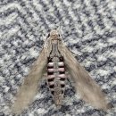 날개당구장 이미지