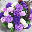 수원-0367 이미지