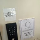 🫧💍시그니처 엘리자베스 드레스 후기👰🏻‍♀️ 최종 선택한 본식 드레스🤍💒