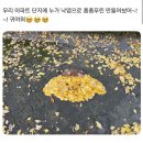 연정이네 | 두친자의 삶이란. . .