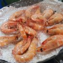 대하사